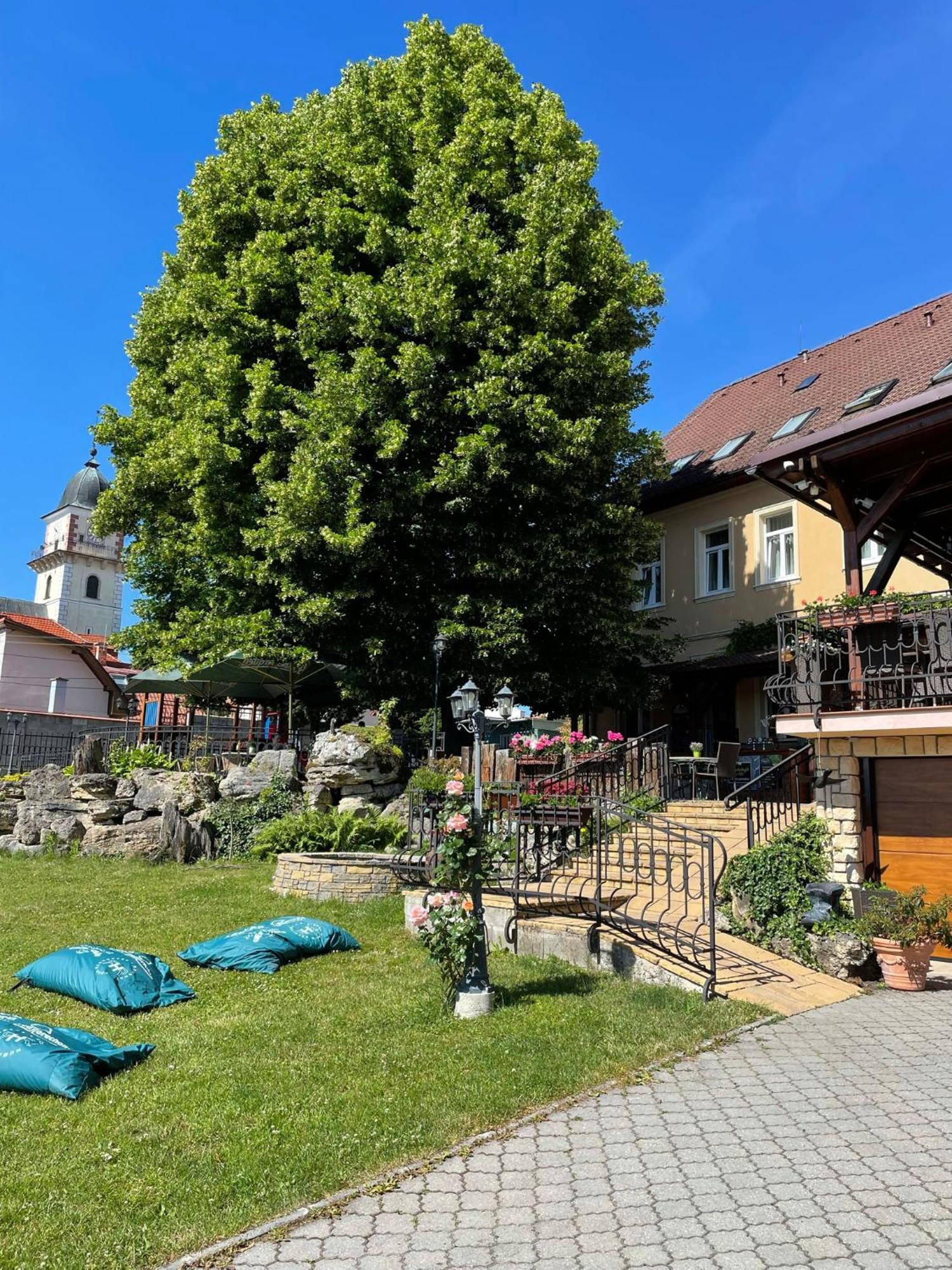 Hotel Lipa Бойнице Экстерьер фото